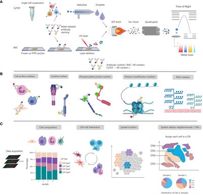 Single-cell mass cytometry in immunological skin diseases
